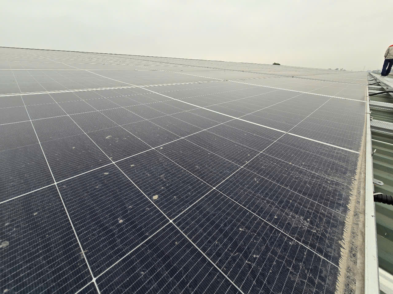 dien-nang-luong-mat-troi-bi-loi