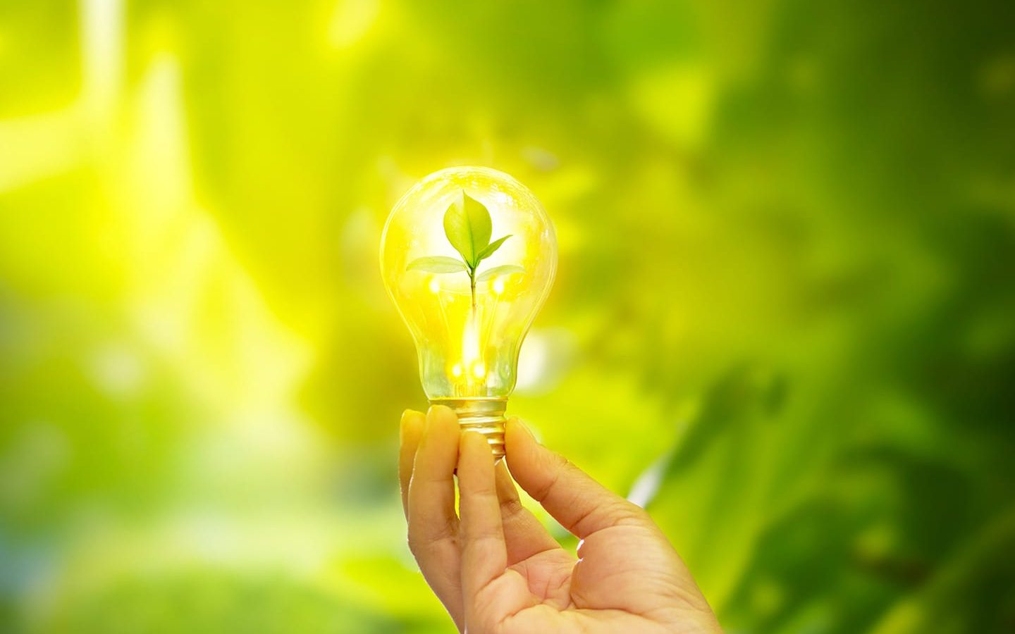 tiết kiệm điện